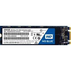 Western Digital Blue SSD 250GB M.2 SATA III (WDS250G1B0B)