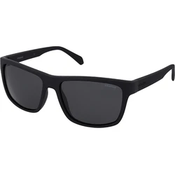 Polaroid Men's Sunglasses with Black Acetate Frame and Black Polarized Lens PLD2058/S 003/M9