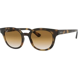 Ray Ban Γυναικεία Γυαλιά Ηλίου RB4324 (710/51) - Καφέ ταρταρούγα κοκκάλινος σκελετός, Καφέ ντεγκραντέ Polarized φακοί (51/20/150)