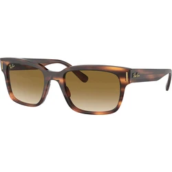 Ray Ban Jeffrey Men's Sunglasses Brown Tortoise Acetate Frame Brown Gradient Lens RB2190 954/51