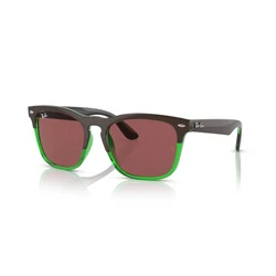 Ray Ban Steve Unisex Γυαλιά Ηλίου Καφέ Κοκκάλινο Σκελετό RB4487 54/18/145