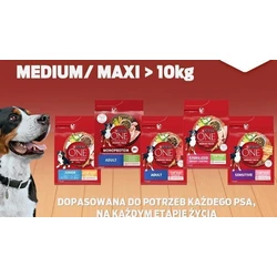 Purina One 2.5kg Dry Dog Food with Turkey