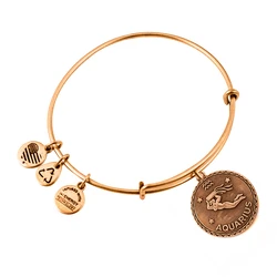 Women's Gold-Tone Expandable Bracelet 19-25 cm - Alex and Ani (A07EB40AQRG)