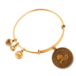 Women's Gold-Plated Bracelet Alex and Ani - A07EB40CARG