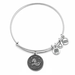 Alex and Ani Women's Bracelet A07EB40CARS, Metal, Grey, Adjustable 19-25CM, Capricorn
