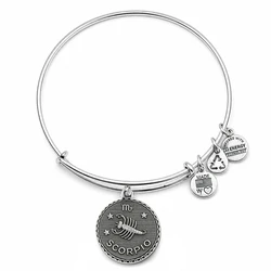 Γυναικείο Βραχιόλι Alex and Ani A07EB40SCRS