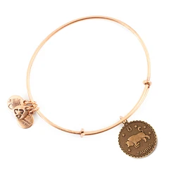 Alex and Ani Gold-Tone Women's Bracelet A07EB40TARG
