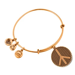 Alex and Ani Gold-Plated Women's Bracelet A07EB47RG