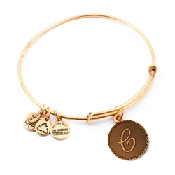 Alex and Ani Women's Gold-Tone Bracelet A08EB91CG