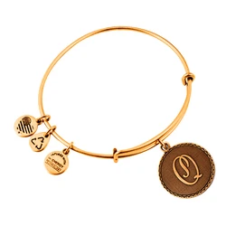 Alex and Ani Gold-Tone Women's Bracelet A08EB91QG