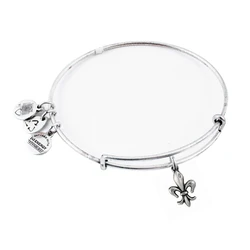 Γυναικείο Βραχιόλι Alex and Ani A09EB136RS - Μέταλλο, Γκρι, Ρυθμιζόμενο 19-25 εκ.