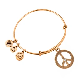 Alex and Ani - Γυναικείο Επιχρυσωμένο Βραχιόλι A09EB139RG (Σύμβολο Ειρήνης)