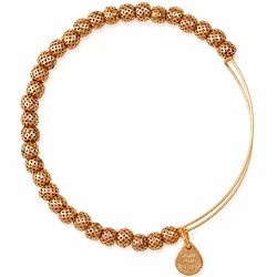 Alex and Ani Women's Gold-Plated Bracelet 20 cm BBEB17RG