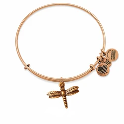 Alex and Ani Women's Gold‑Tone Bracelet A12EB16RG – Dragon‑Fly Charm