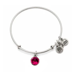 Women's Bracelet A12EB241RS by Alex and Ani