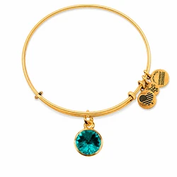 Alex and Ani Women's Bracelet A12EB242RG - Bright Aquamarine (Metal, Adjustable 19-25 cm)