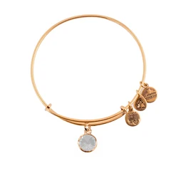 Women's Bracelet Alex and Ani A12EB243RG (Metal, White Dial)