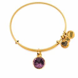 Women's Bracelet Alex and Ani A12EB245RG, Metal, Adjustable 19-25 cm, Bright Purple