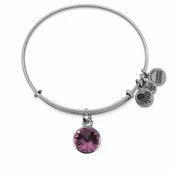 Women's Bracelet Alex and Ani A12EB245RS (Purple)