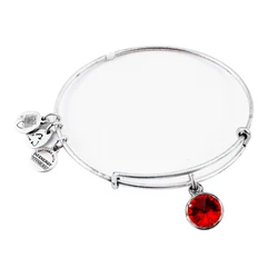 Γυναικείο Βραχιόλι 7.5500 - Alex and Ani (A12EB246RS)