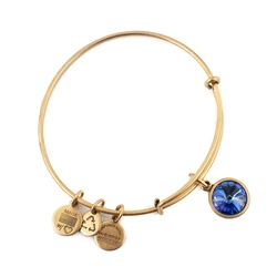 Women's Bracelet Alex and Ani A12EB248RG (Size 19-25 CM)
