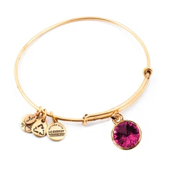 Women's Gold-Plated Bracelet Alex and Ani A12EB249RG