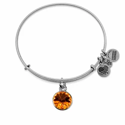 Women's Gold-Plated Bracelet Alex and Ani A12EB250RS