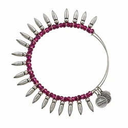 Alex and Ani Women's Bracelet A12EB88RS (Purple)