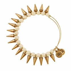 Alex and Ani Women's Gold-Plated Bracelet A12EB94RG (Metal, Adjustable 19-25 cm)