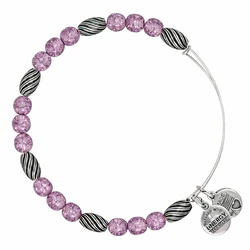 Alex and Ani Women's Bracelet 8.9700 (A12EB158RS) - Watercolor Pulser - Purple