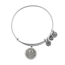 Women's Bracelet Alex and Ani A13EB14VS 20cm - Metal, Grey
