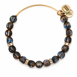 Women's Bracelet Alex and Ani A13EB30RG 20cm, Metal, Multicolored