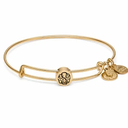 Γυναικείο Βραχιόλι Επιχρυσωμένο 20 cm - Alex and Ani (SSEWB04G)