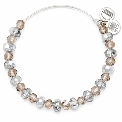 Alex and Ani Women's Bracelet A13EB40RS 20 cm - Resin Grey with Smoky Finish