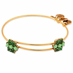 Alex and Ani Women's Gold-Plated Bracelet 20 cm - A13EB75RG