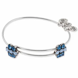Women's Bracelet Alex and Ani A13EB79RS — 20 cm, Metal, Adjustable