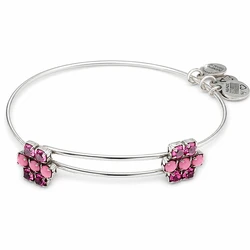 Alex and Ani Women's Bracelet A13EB80RS (20 cm)