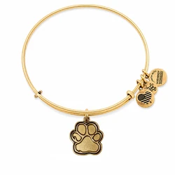 Women's Gold-Plated Bracelet 20 cm - Alex and Ani CBD14POLRG