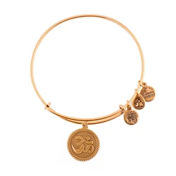Alex and Ani Women's Gold-Plated Bracelet 20 cm (Model A14EB70RG)