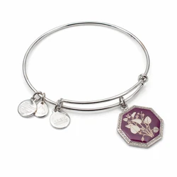 Women's Bracelet Alex and Ani A14EB90SS 20 cm, Metal, Grey