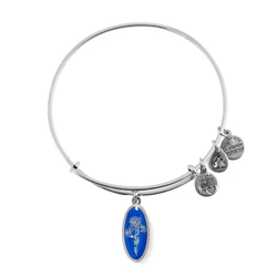 Women's Bracelet Alex and Ani A14EB97SS 20cm - Aster bracelet with aged finish
