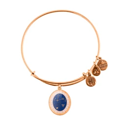 Women's Gold-Tone Adjustable Bracelet 20 cm - Alex and Ani A15EB58YG