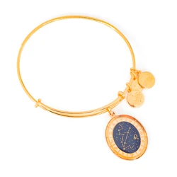Women's Gold-Tone Bracelet Alex and Ani 20cm (A15EB63YG)