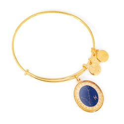 Women's Gold-Plated Bracelet 20cm - Alex and Ani A15EB65YG