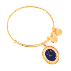 Women's Gold-Plated Bracelet with Diamond 20 cm - Alex and Ani