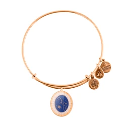 Alex and Ani Women's Gold-Tone Bracelet 20cm (A15EB69YG)