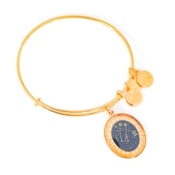 Women's Gold-Plated Bracelet 20cm Alex and Ani (A15EN33YG)
