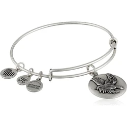 Alex and Ani Women's Brass Bracelet 17.5 cm - Peace Dove Silver Finish (Model A16EBSDRS)