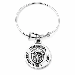 Alex and Ani Women's Bracelet A16ERUMRS – 20 cm, Metal, Grey, Miracle Charm Ring