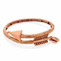 Γυναικείο Βραχιόλι Επιχρυσωμένο 20cm Alex and Ani V16W02ROG